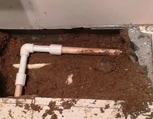 霍尔果斯测漏水哪家好