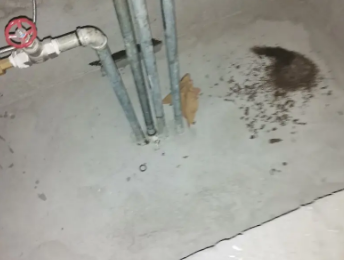 霍尔果斯卫生间测漏水价格明细