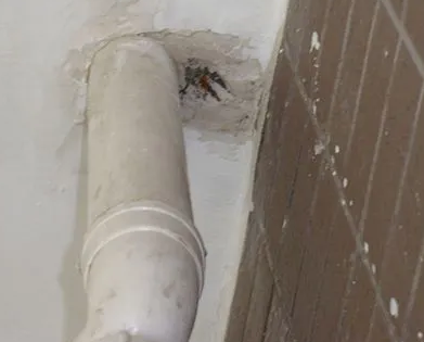 霍尔果斯漏水检测哪家好